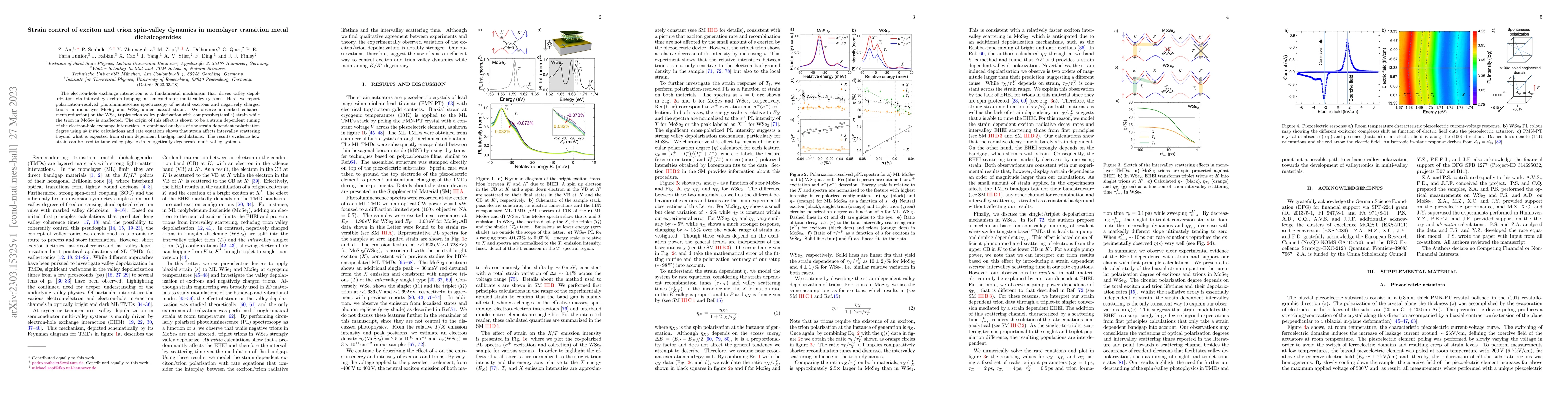 Thumbnail for Strain control of exciton and trion spin-valley dynamics in monolayer
  transition metal dichalcogenides