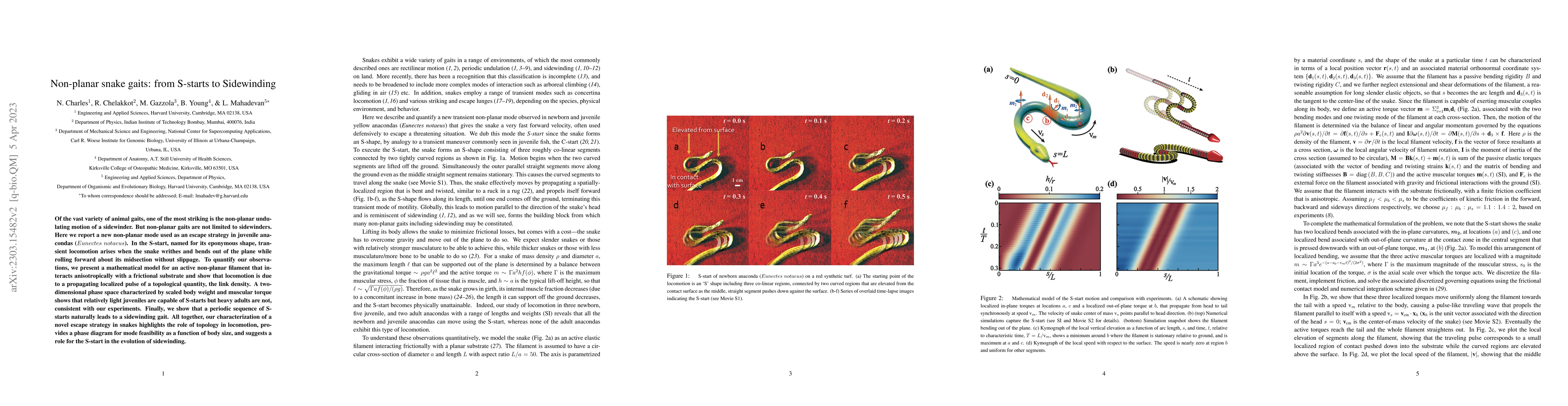 Thumbnail for Non-planar snake gaits: from Stigmatic-starts to Sidewinding