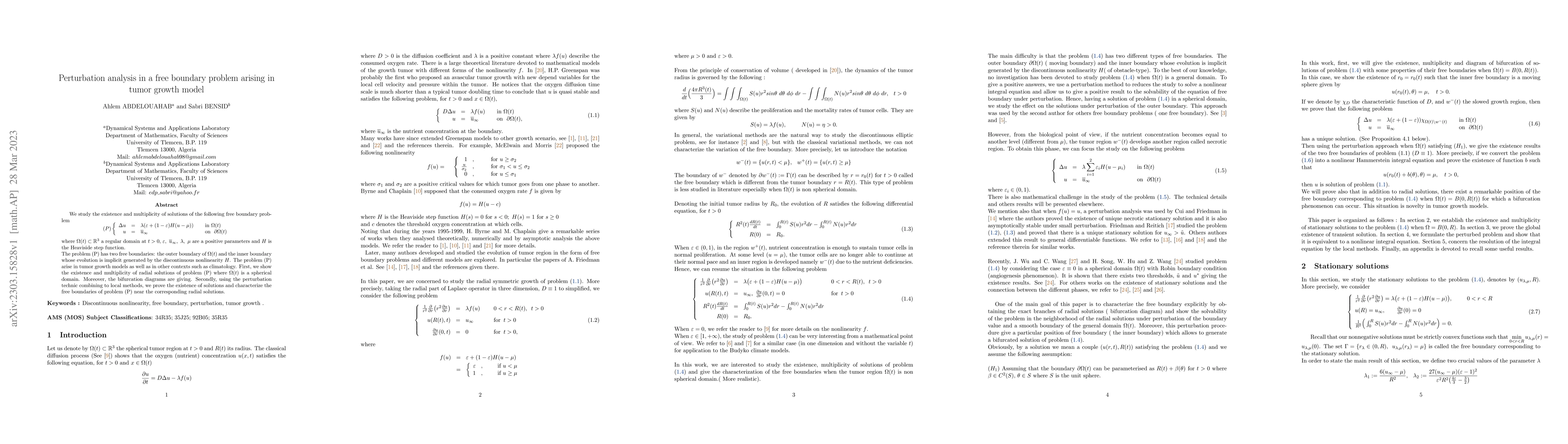 Thumbnail for Perturbation analysis in a free boundary problem arising in tumor growth
  model