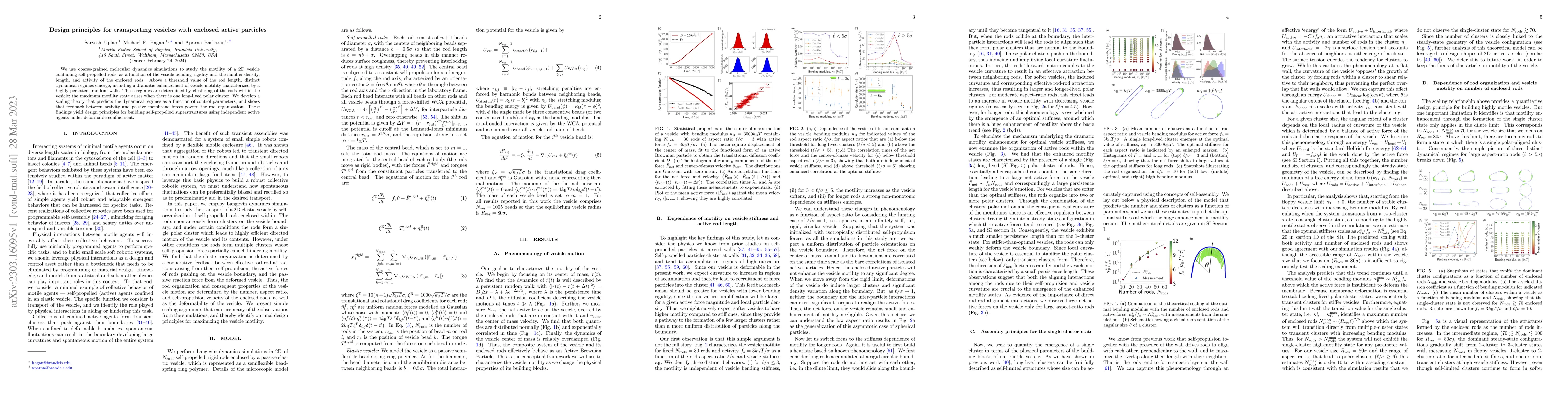 Thumbnail for Design principles for transporting vesicles with enclosed active
  particles
