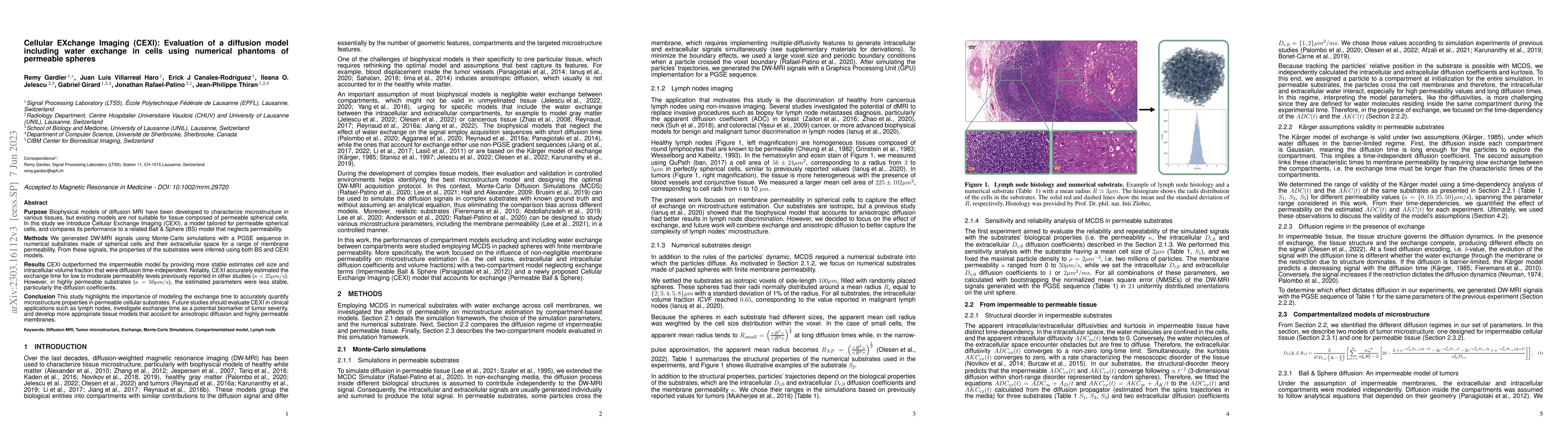 Thumbnail for Cellular EXchange Imaging (CEXI): Evaluation of a diffusion model
  including water exchange in cells using numerical phantoms of permeable
  spheres