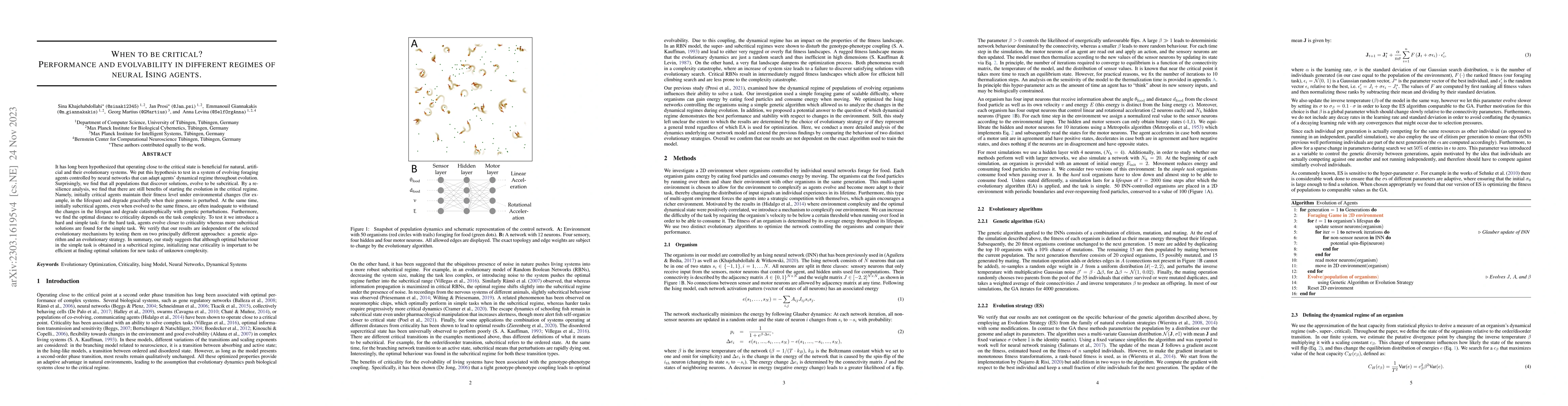 Thumbnail for When to be critical? Performance and evolvability in different regimes
  of neural Ising agents