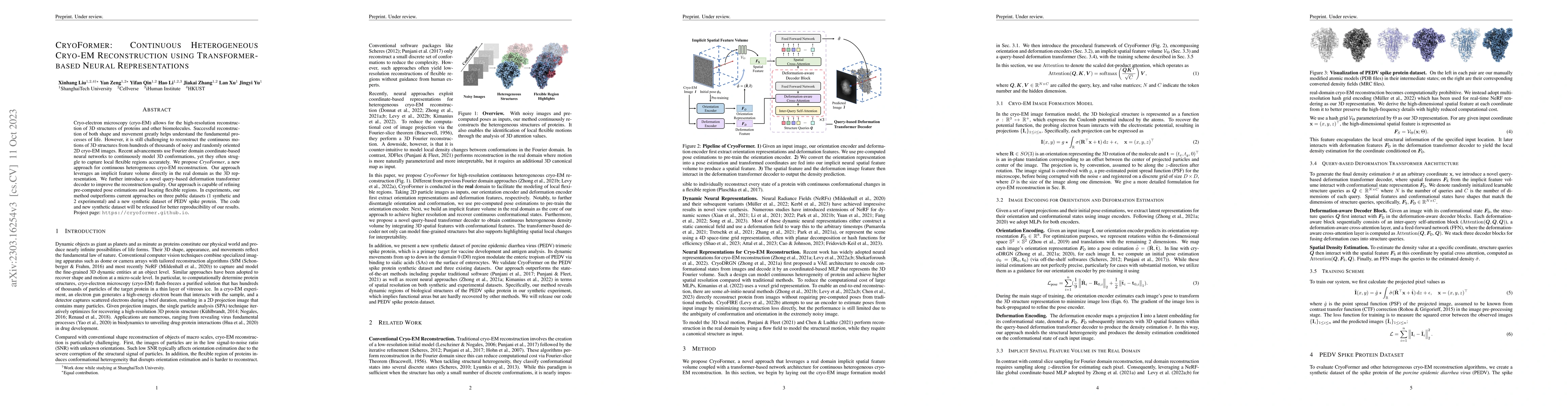 Thumbnail for CryoFormer: Continuous Heterogeneous Cryo-EM Reconstruction using
  Transformer-based Neural Representations