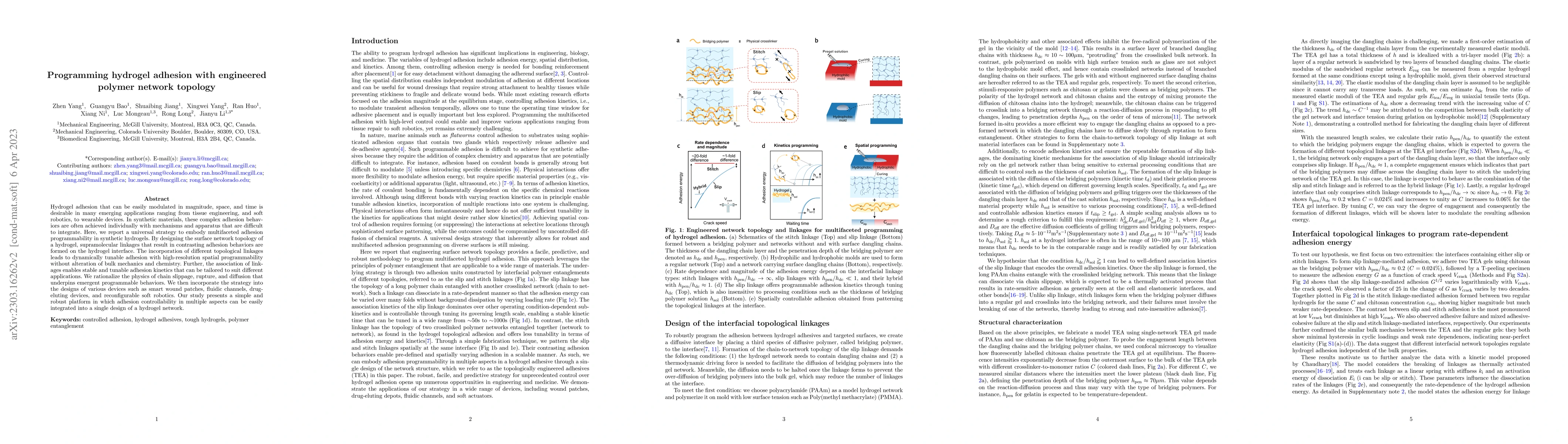 Thumbnail for Programming hydrogel adhesion with engineered polymer network topology