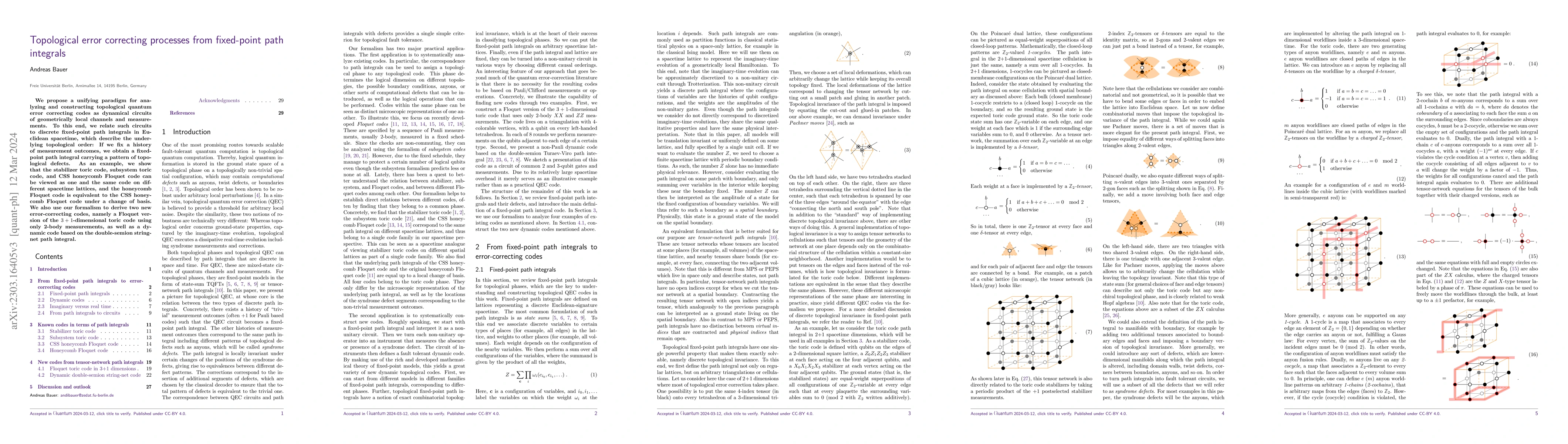 Thumbnail for Topological error correcting processes from fixed-point path integrals
