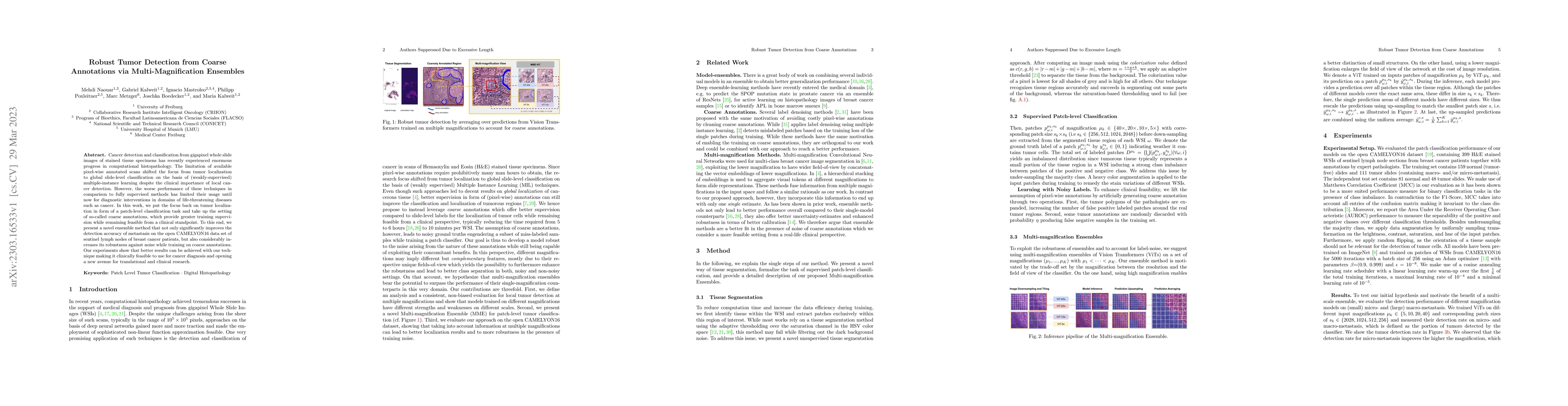 Thumbnail for Robust Tumor Detection from Coarse Annotations via Multi-Magnification
  Ensembles