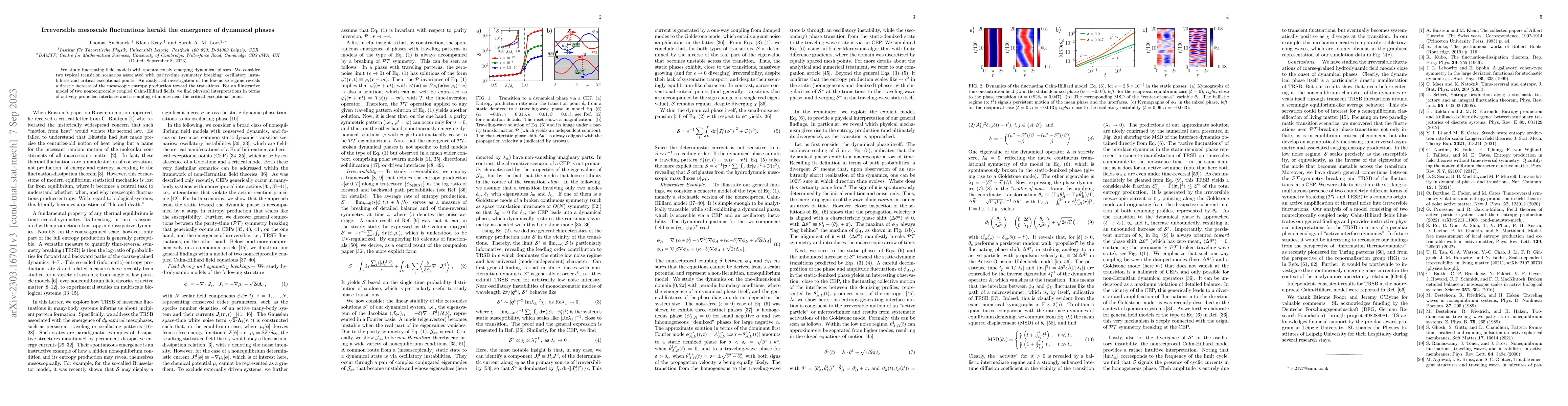 Thumbnail for Irreversible mesoscale fluctuations herald the emergence of dynamical
  phases