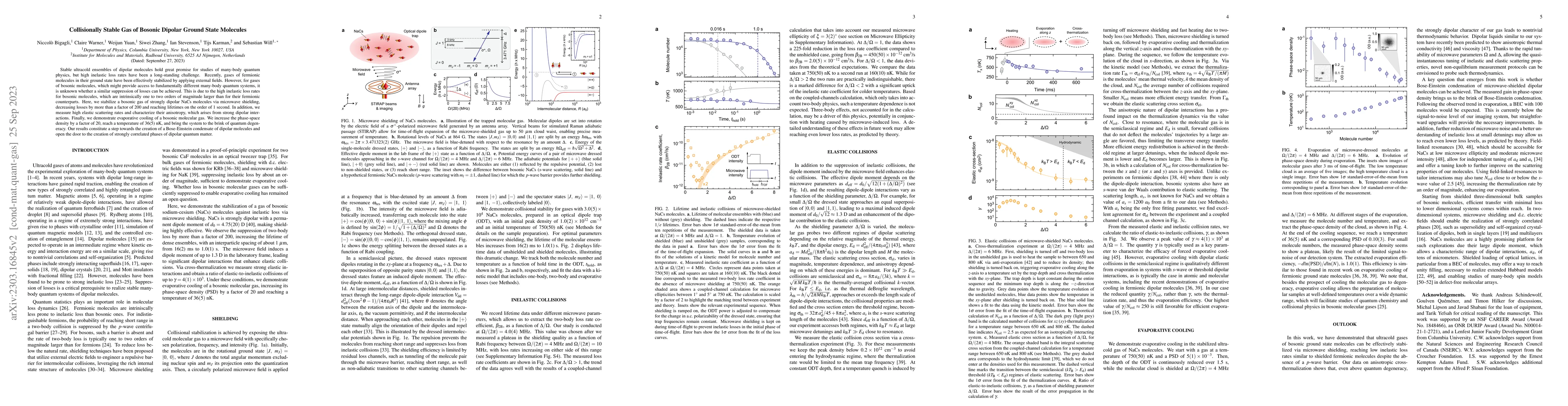 Thumbnail for Collisionally Stable Gas of Bosonic Dipolar Ground State Molecules