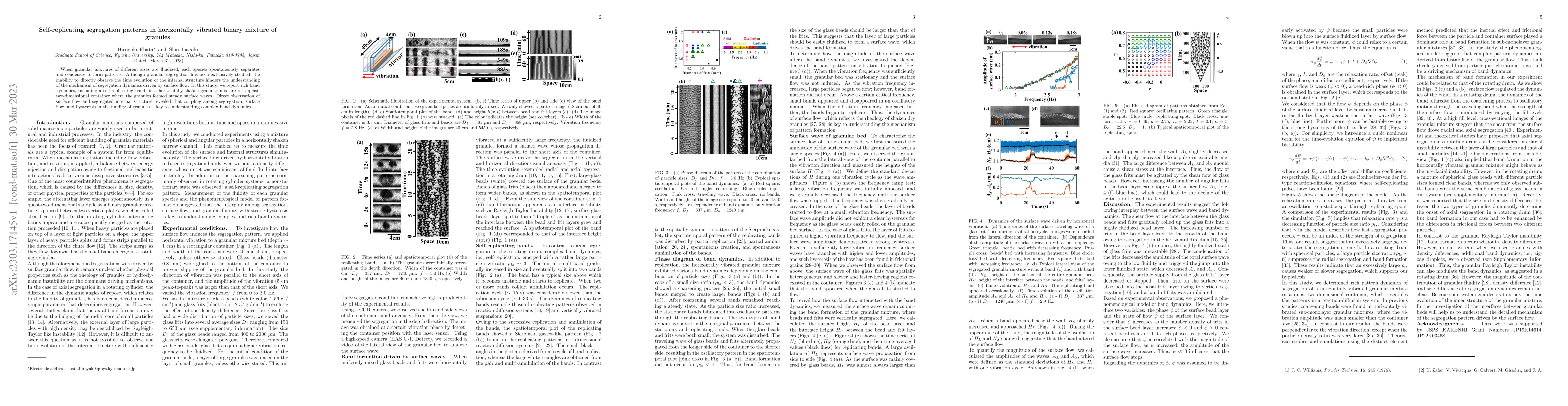 Thumbnail for Self-replicating segregation patterns in horizontally vibrated binary
  mixture of granules
