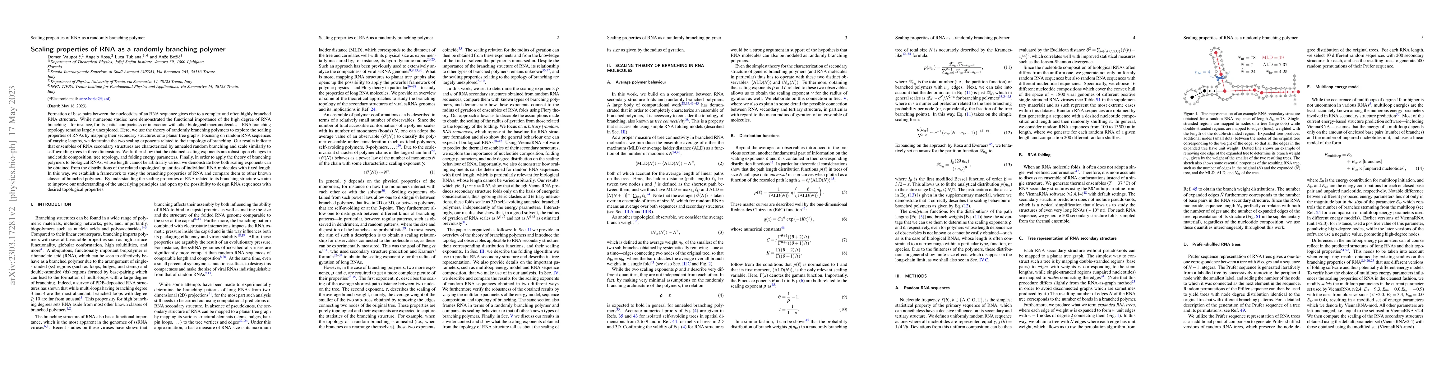 Thumbnail for Scaling properties of RNA as a randomly branching polymer