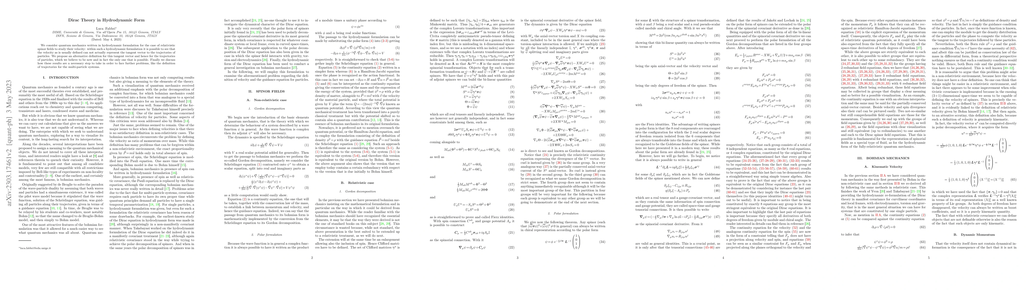 Thumbnail for Dirac Theory in Hydrodynamic Form