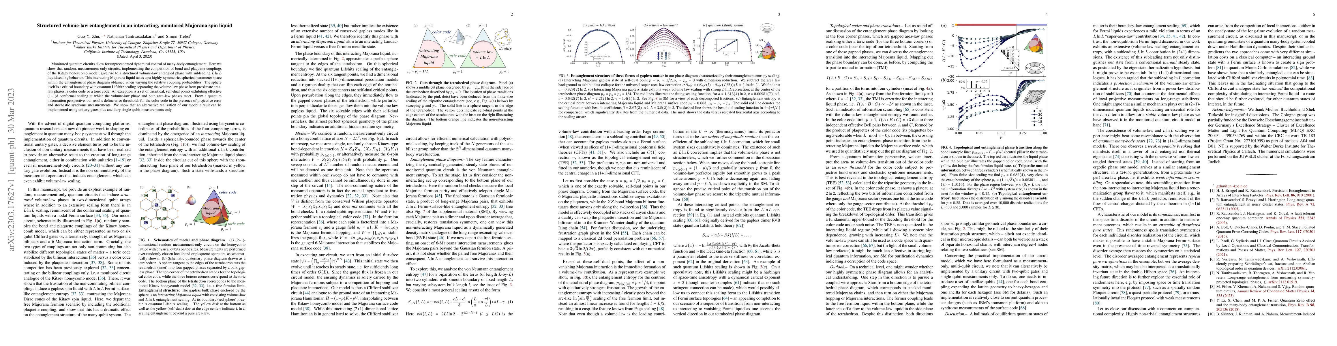 Thumbnail for Structured volume-law entanglement in an interacting, monitored Majorana
  spin liquid