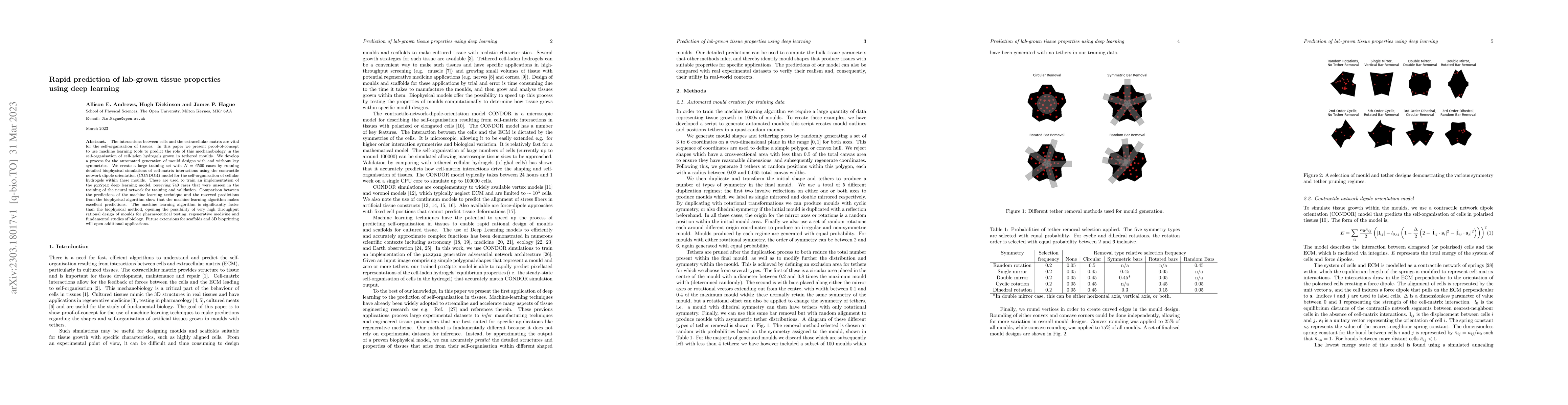 Thumbnail for Rapid prediction of lab-grown tissue properties using deep learning