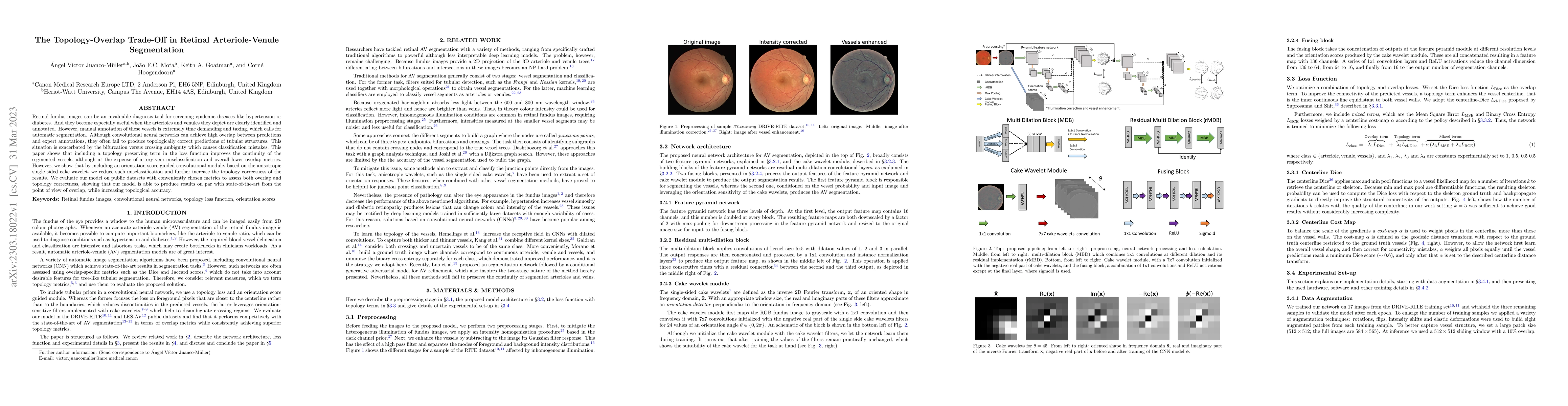 Thumbnail for The Topology-Overlap Trade-Off in Retinal Arteriole-Venule Segmentation