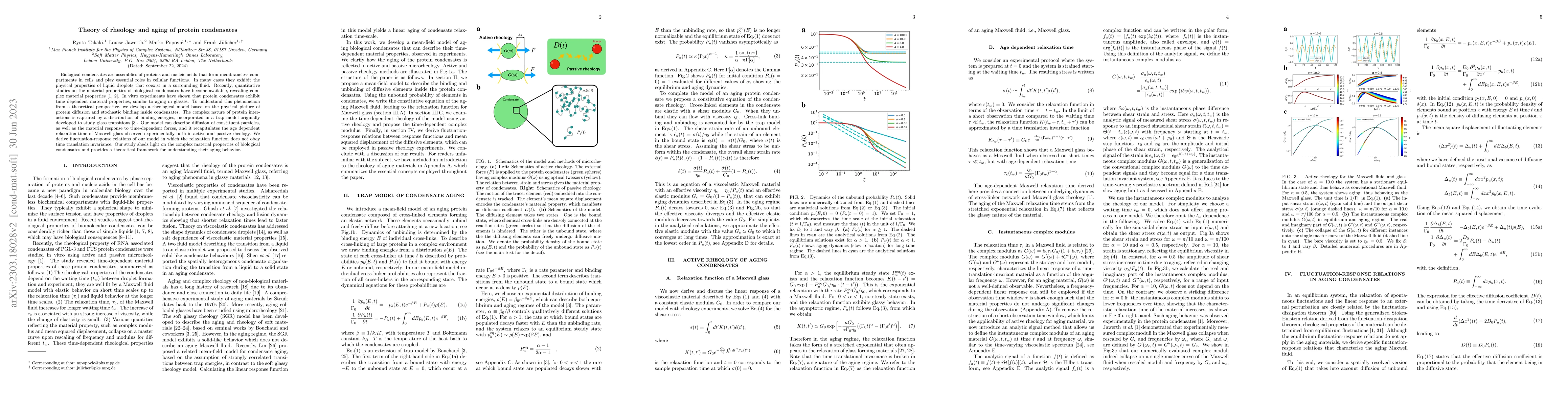 Thumbnail for Theory of rheology and aging of protein condensates