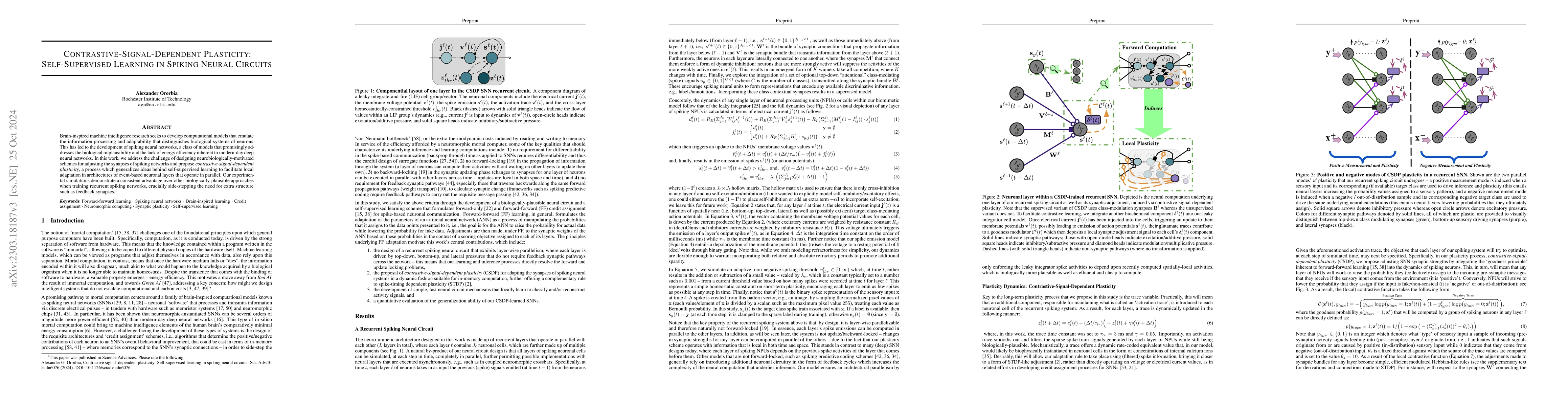 Thumbnail for Contrastive-Signal-Dependent Plasticity: Forward-Forward Learning of
  Spiking Neural Systems