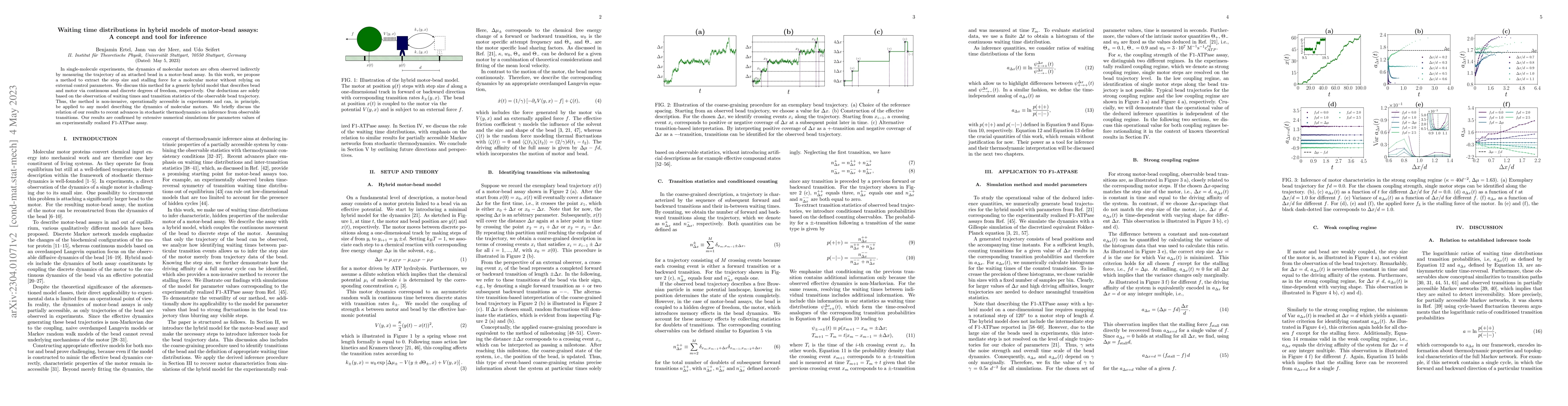 Thumbnail for Waiting time distributions in hybrid models of motor-bead assays: A
  concept and tool for inference