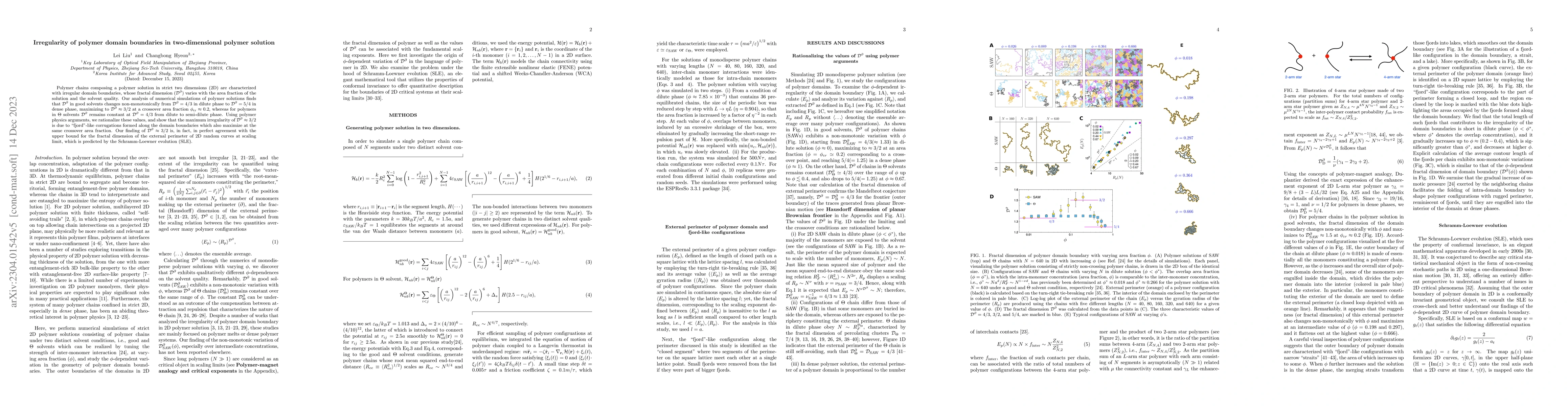 Thumbnail for Irregularity of polymer domain boundaries in two-dimensional polymer
  solution