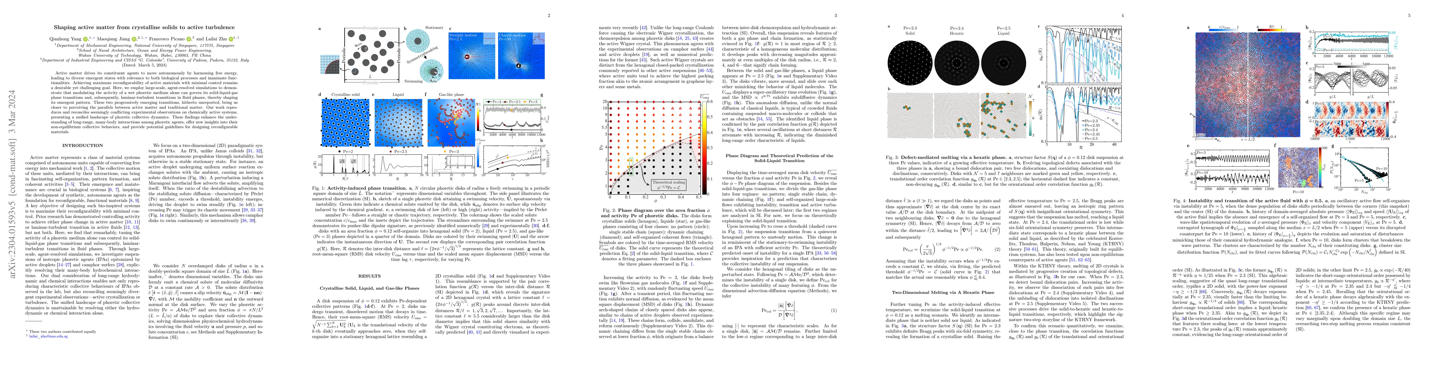 Thumbnail for Shaping active matter from crystalline solids to active turbulence