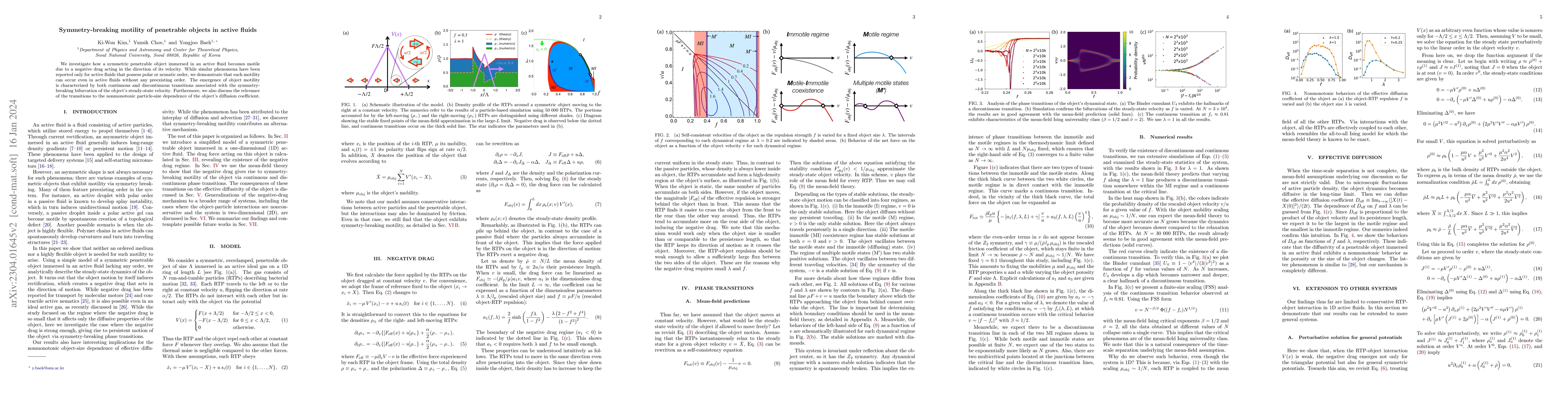 Thumbnail for Symmetry-breaking motility of penetrable objects in active fluids