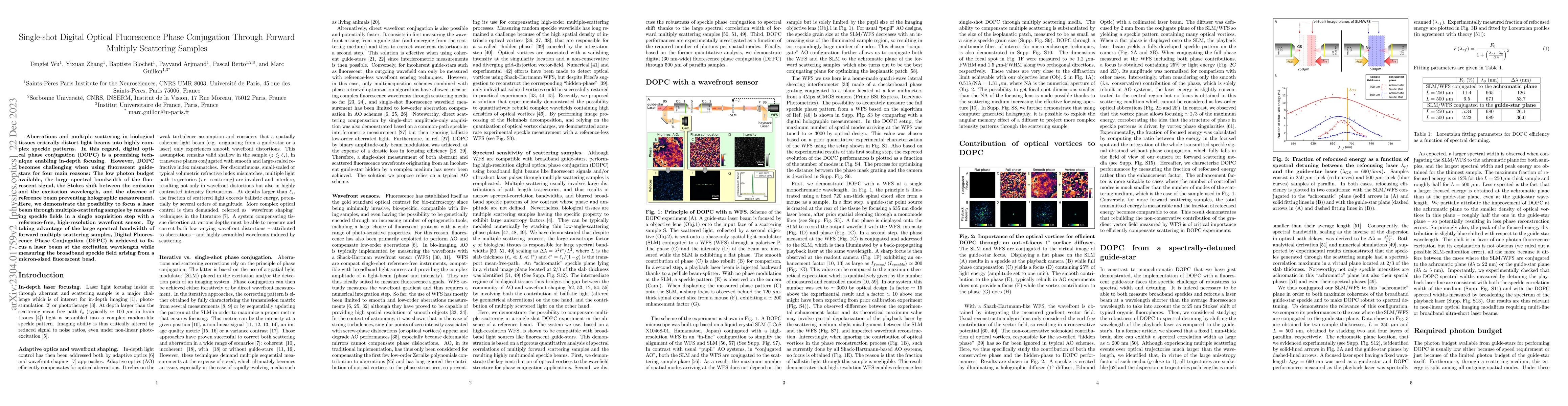 Thumbnail for Single-shot Digital Optical Fluorescence Phase Conjugation Through
  Forward Multiply Scattering Samples