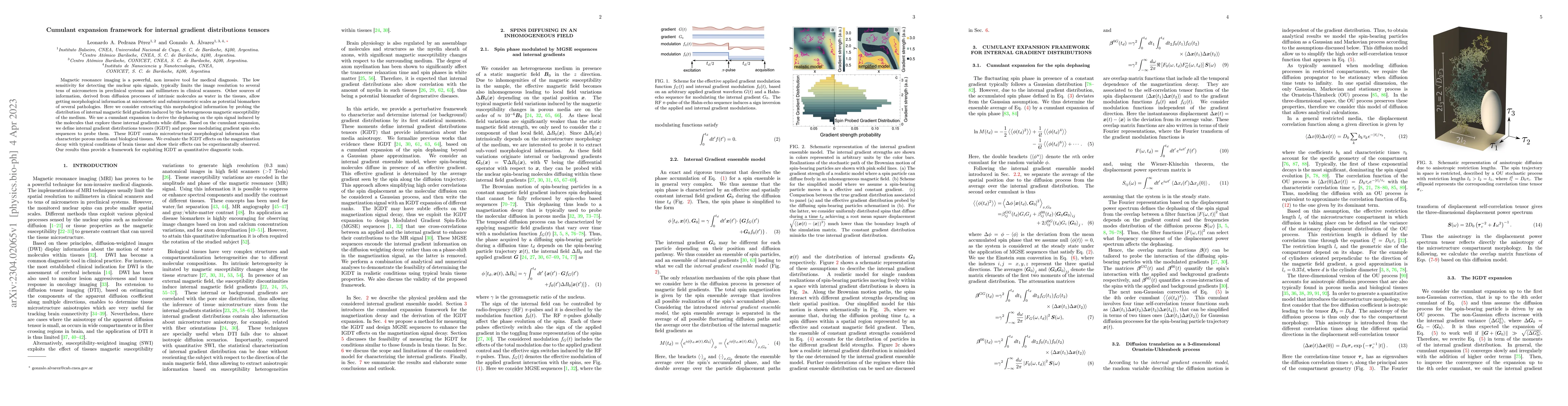 Thumbnail for Cumulant expansion framework for internal gradient distributions tensors