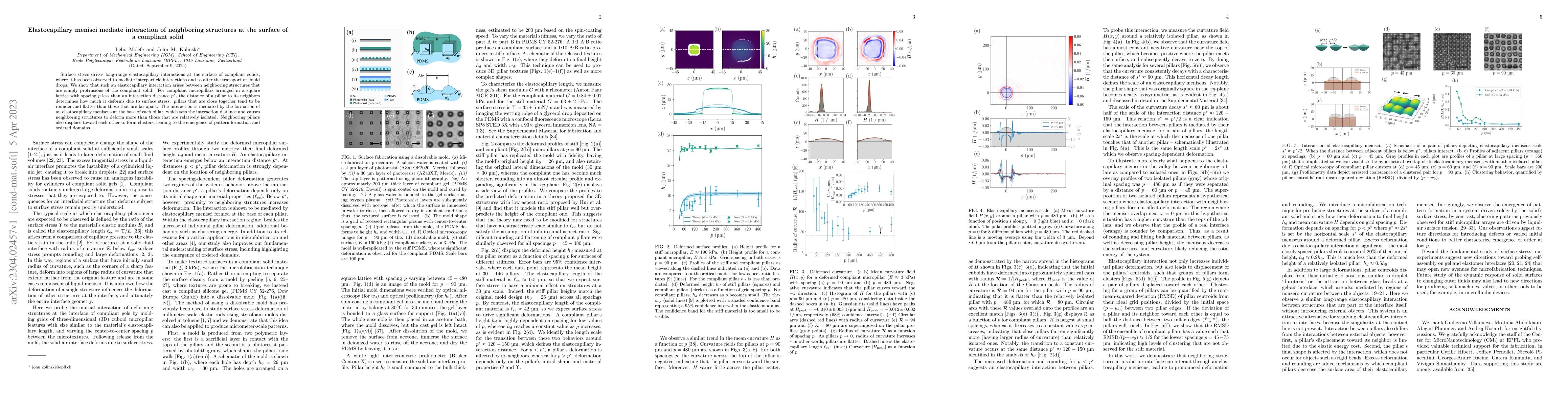 Thumbnail for Elastocapillary menisci mediate interaction of neighboring structures at
  the surface of a compliant solid