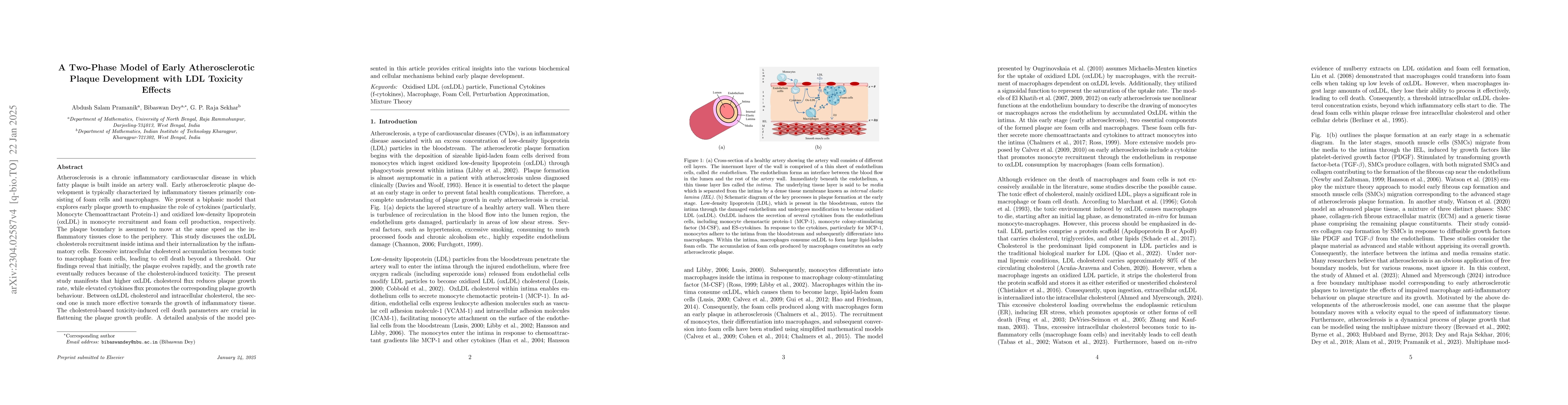 Thumbnail for A Two-Phase Model of Early Atherosclerotic Plaque Development with LDL
  Toxicity Effects