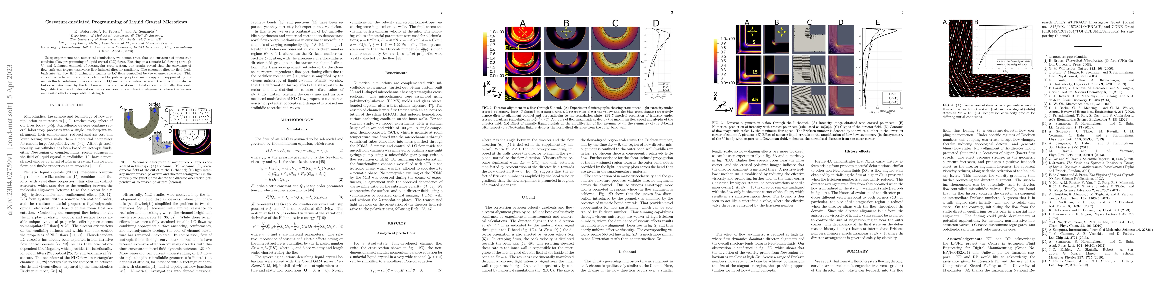 Thumbnail for Curvature-mediated Programming of Liquid Crystal Microflows