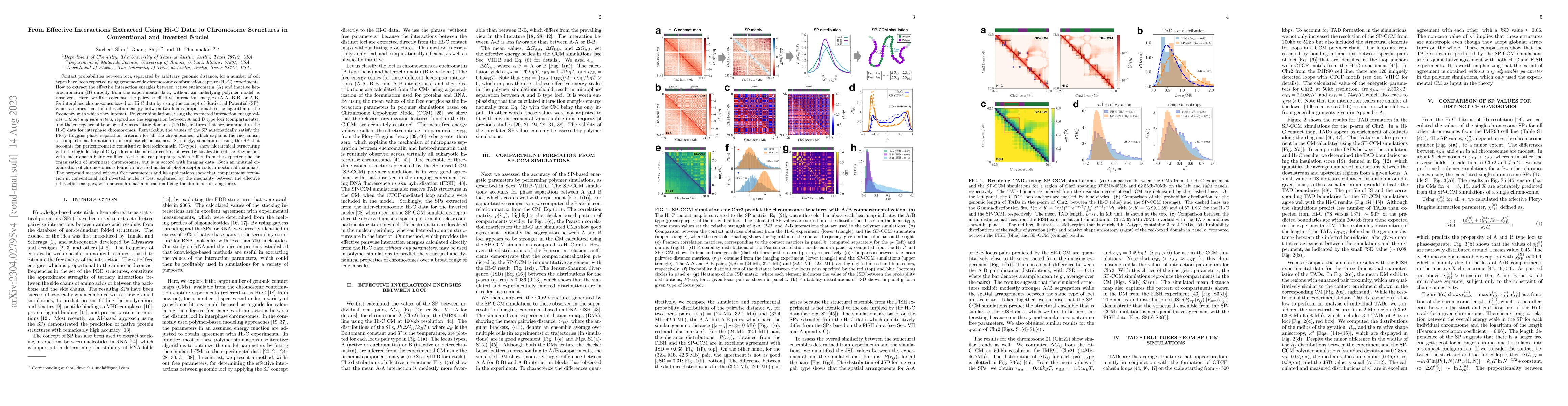 Thumbnail for From Effective Interactions Extracted Using Hi-C Data to Chromosome
  Structures in Conventional and Inverted Nuclei