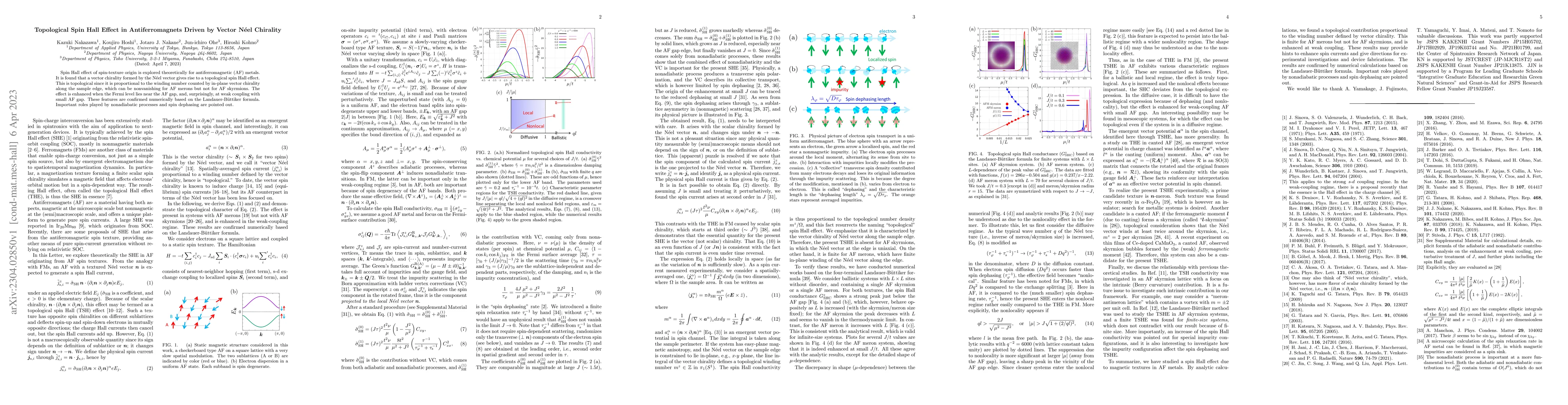 Thumbnail for Topological spin Hall effect in antiferromagnets driven by vector N\'eel
  chirality