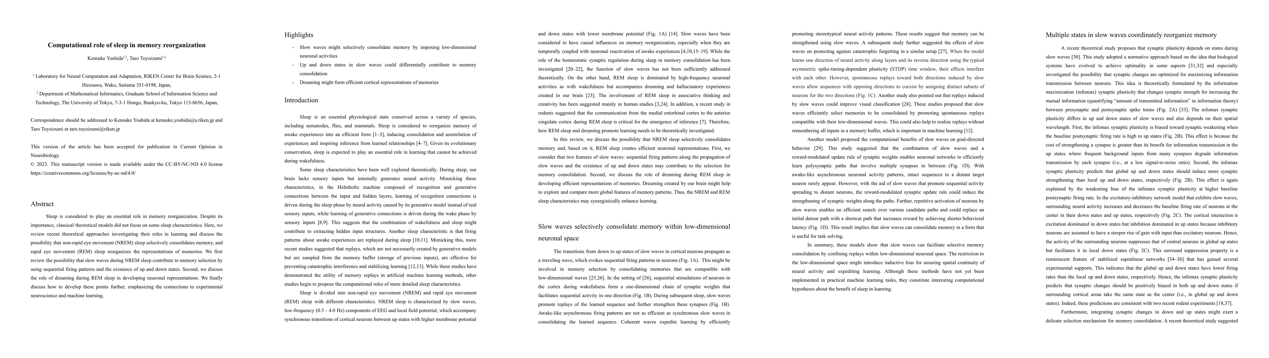 Thumbnail for Computational role of sleep in memory reorganization