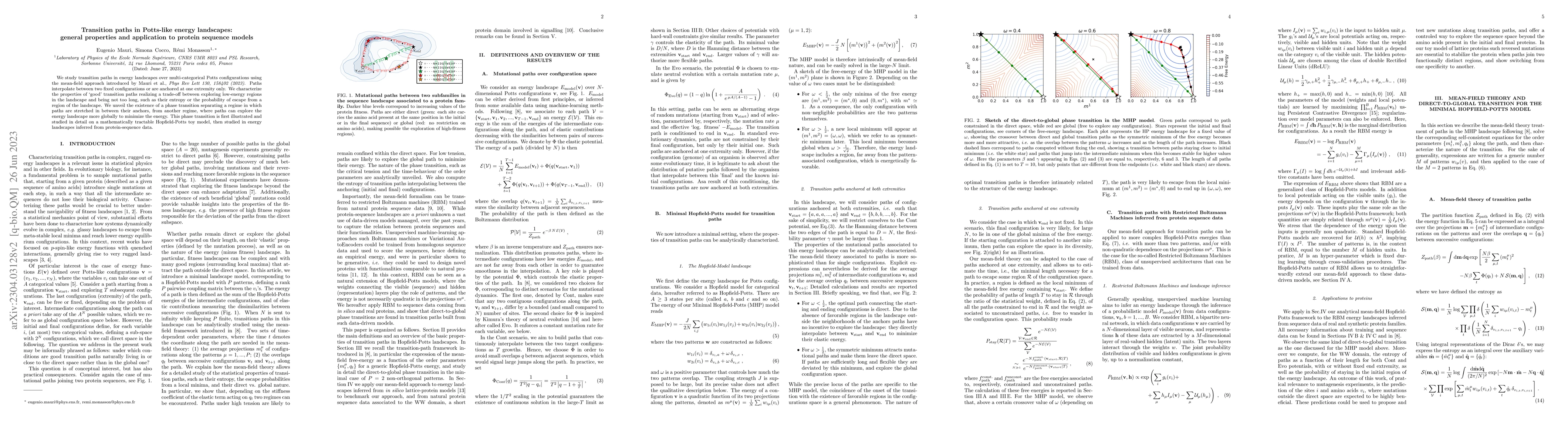 Thumbnail for Transition paths in Potts-like energy landscapes: general properties and
  application to protein sequence models