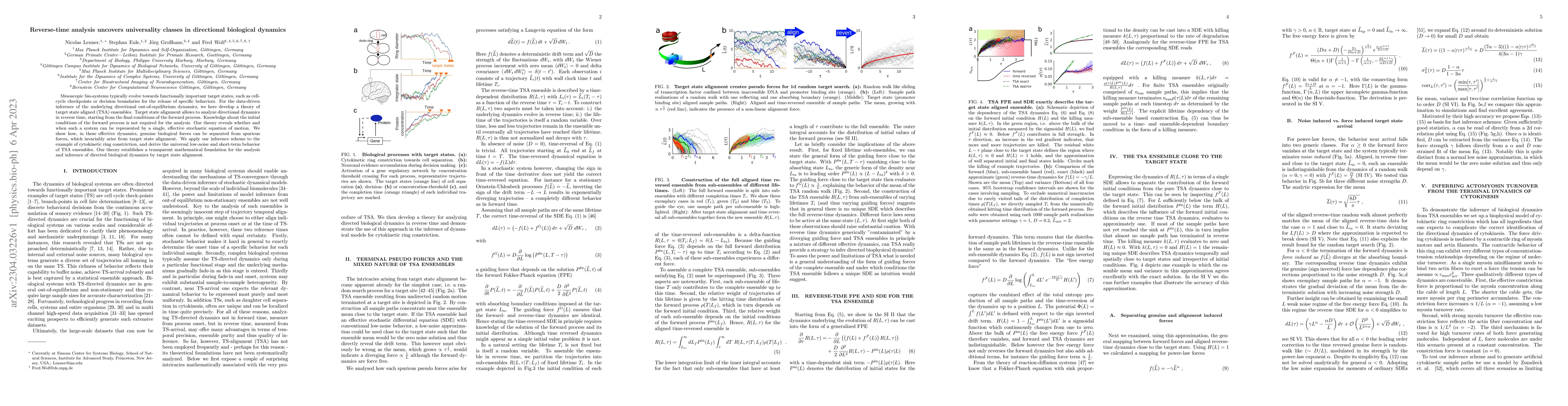 Thumbnail for Reverse-time analysis uncovers universality classes in directional
  biological dynamics