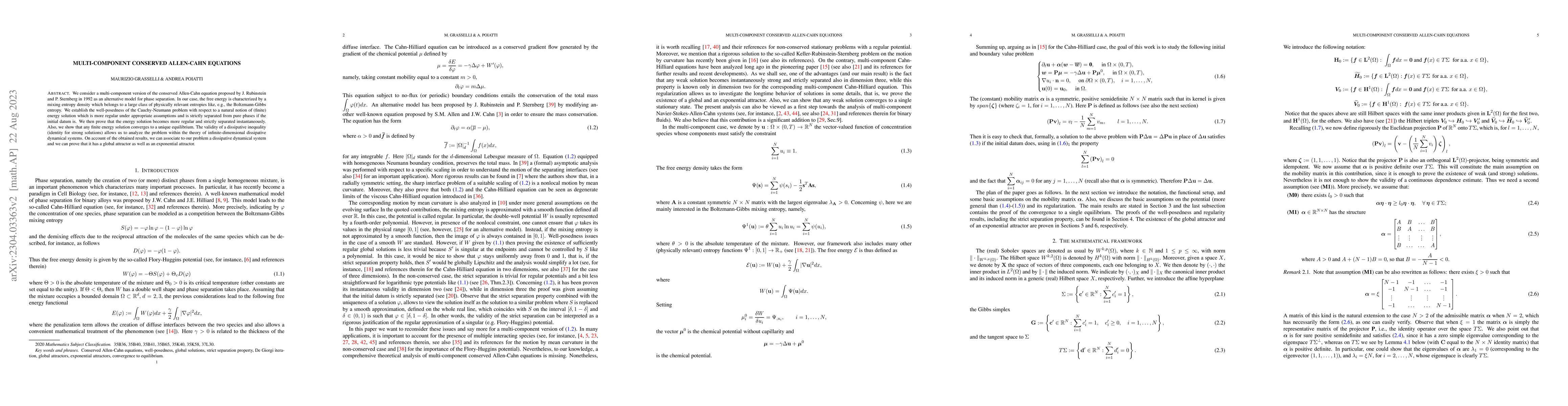 Thumbnail for Multi-component conserved Allen-Cahn equations