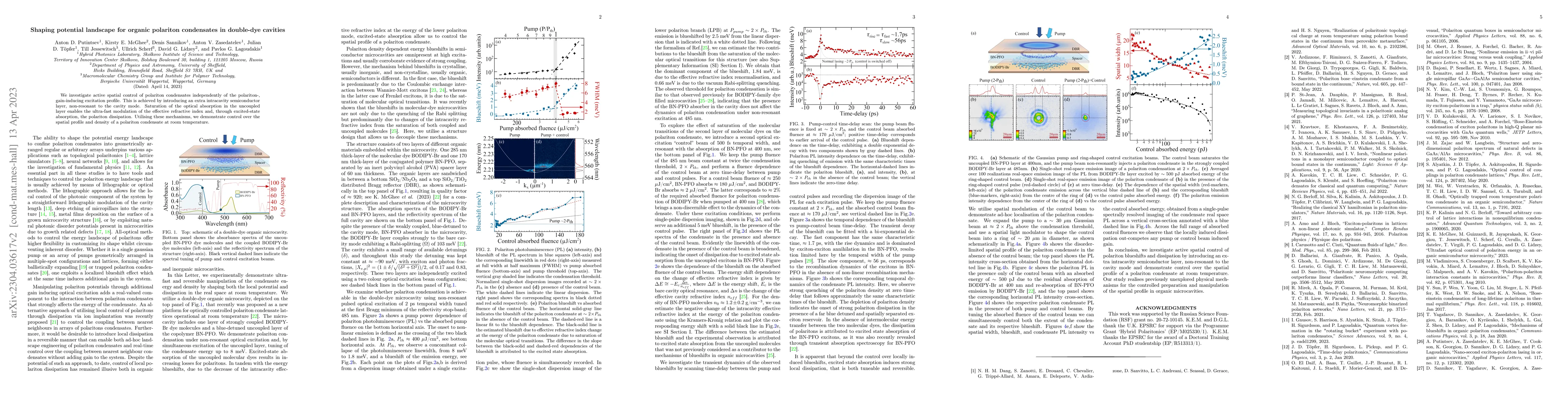 Thumbnail for Shaping potential landscape for organic polariton condensates in
  double-dye cavities