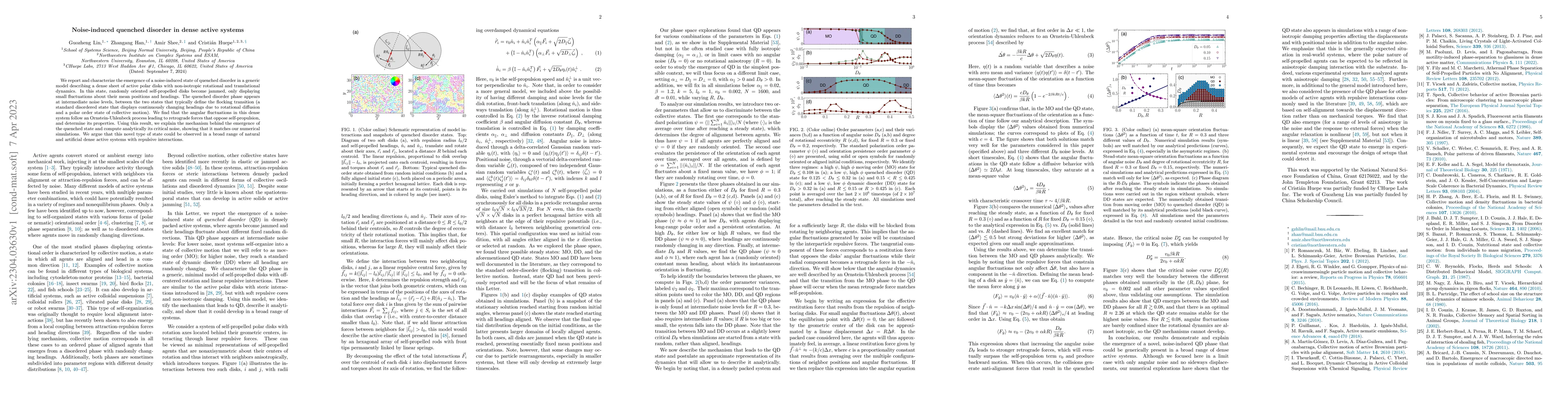 Thumbnail for Noise-induced quenched disorder in dense active systems