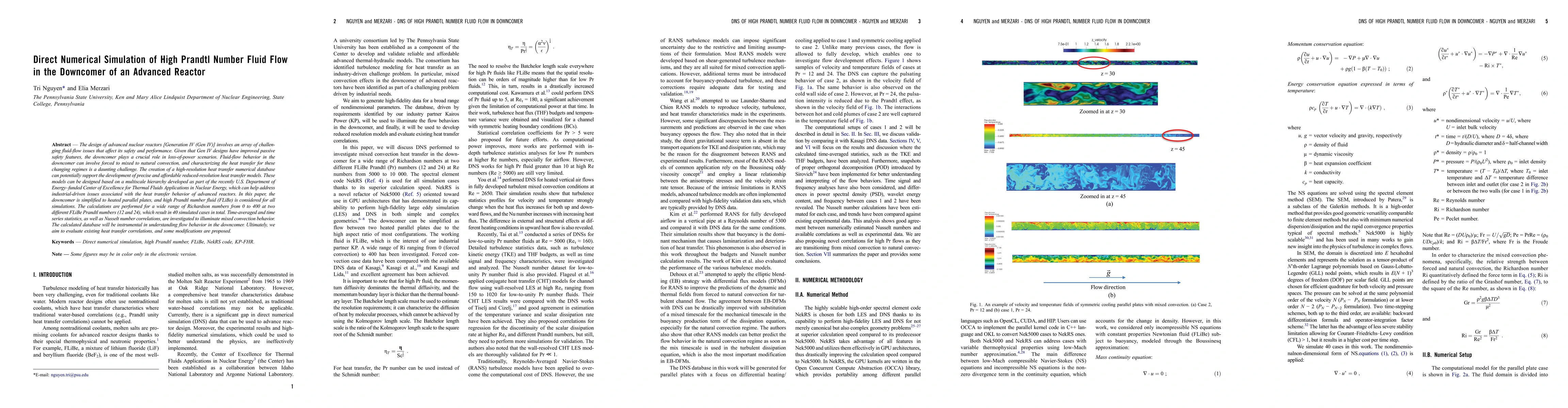 Thumbnail for Direct Numerical Simulation of High Prandtl Number Fluid Flow in the
  Downcomer of an Advanced Reactor