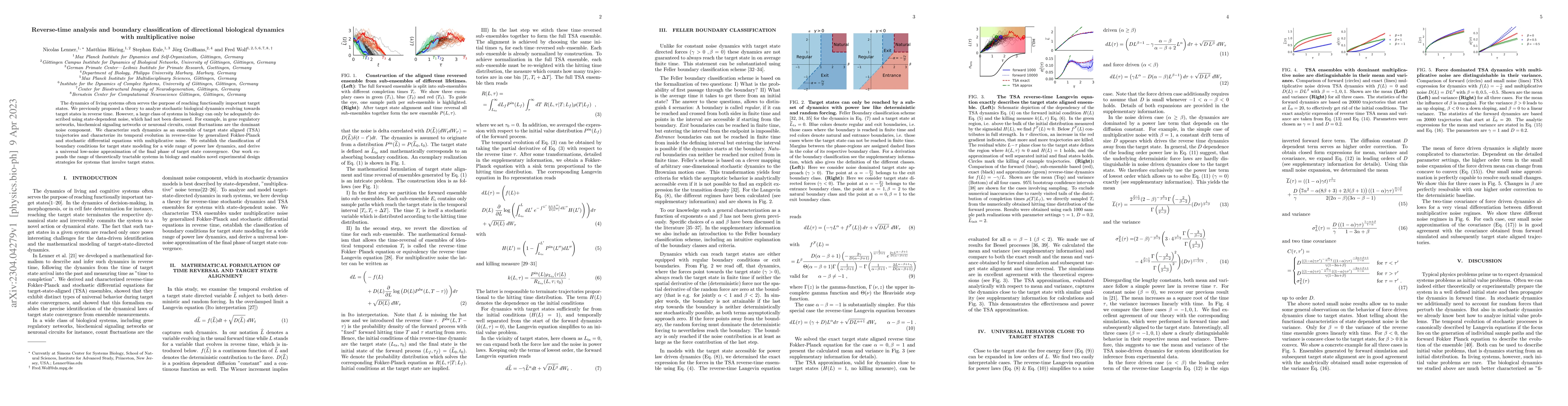Thumbnail for Reverse-time analysis and boundary classification of directional
  biological dynamics with multiplicative noise