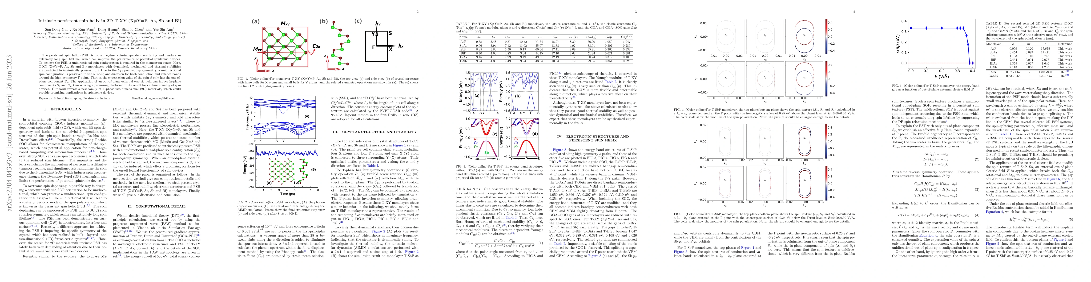 Thumbnail for Intrinsic persistent spin helix in 2D T-XY (X$\neq$Y=P, As, Sb and Bi)