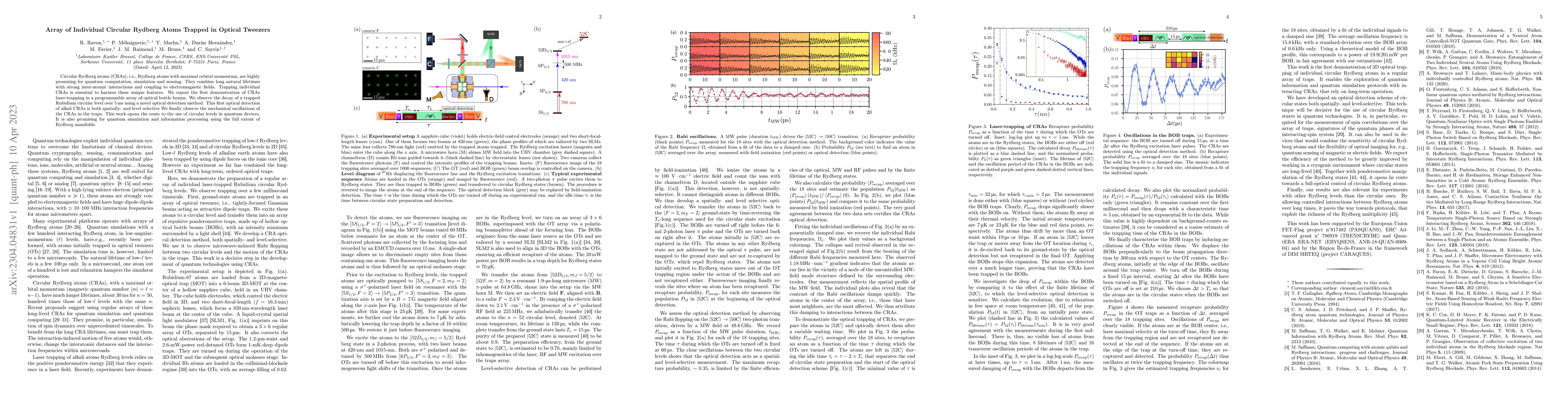 Thumbnail for Array of Individual Circular Rydberg Atoms Trapped in Optical Tweezers