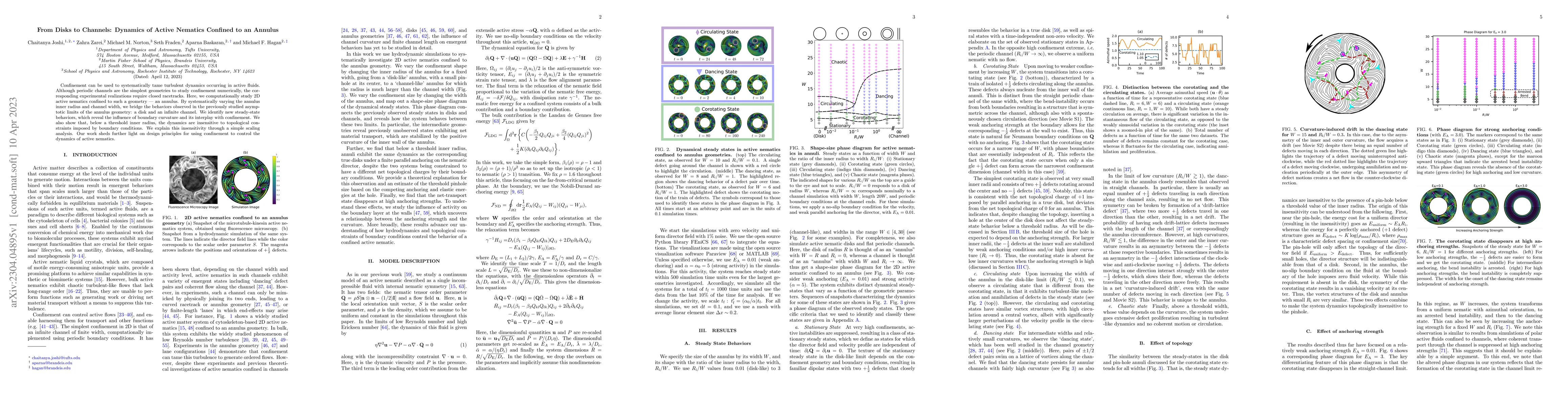 Thumbnail for From Disks to Channels: Dynamics of Active Nematics Confined to an
  Annulus