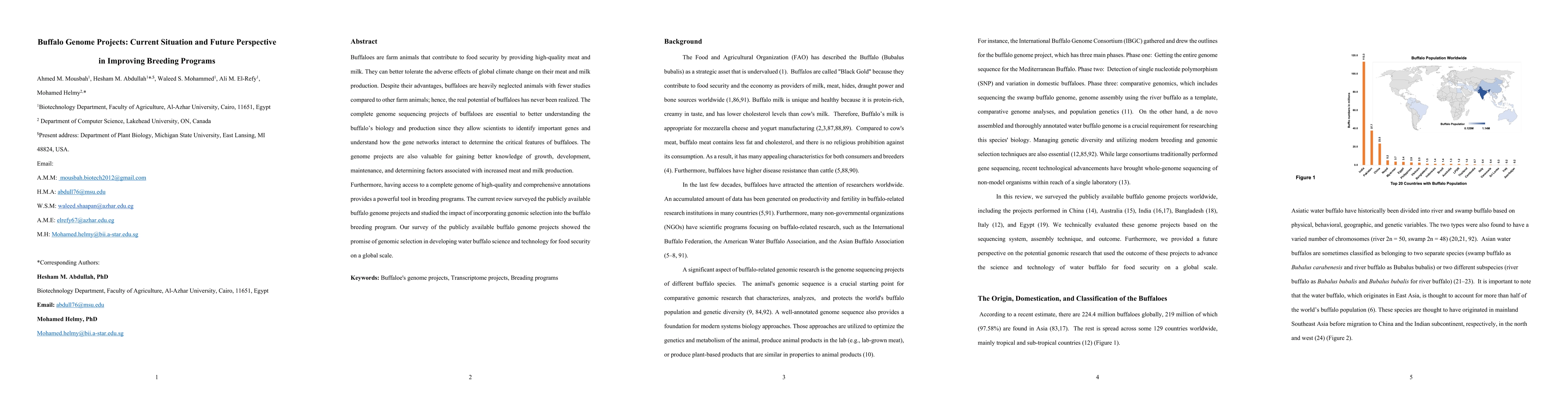 Thumbnail for Buffalo Genome Projects: Current Situation and Future Perspective in
  Improving Breeding Programs