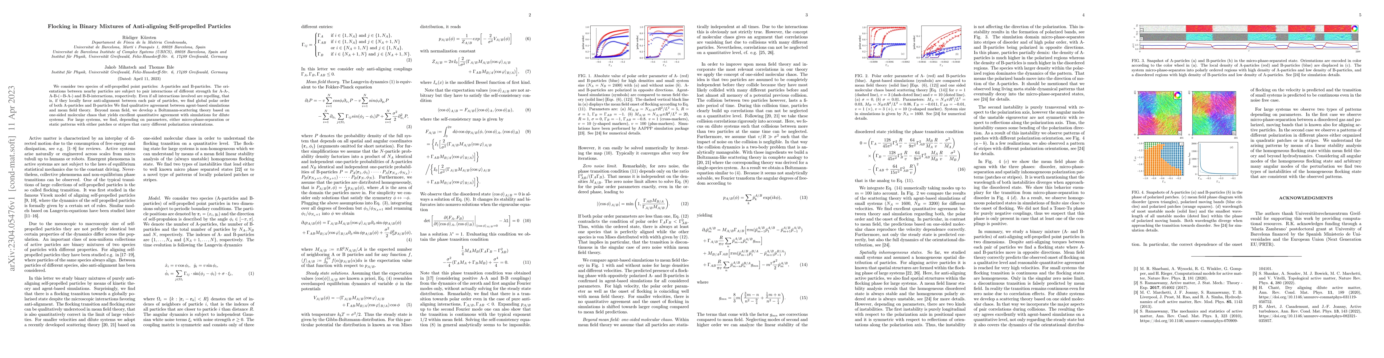 Thumbnail for Flocking in Binary Mixtures of Anti-aligning Self-propelled Particles