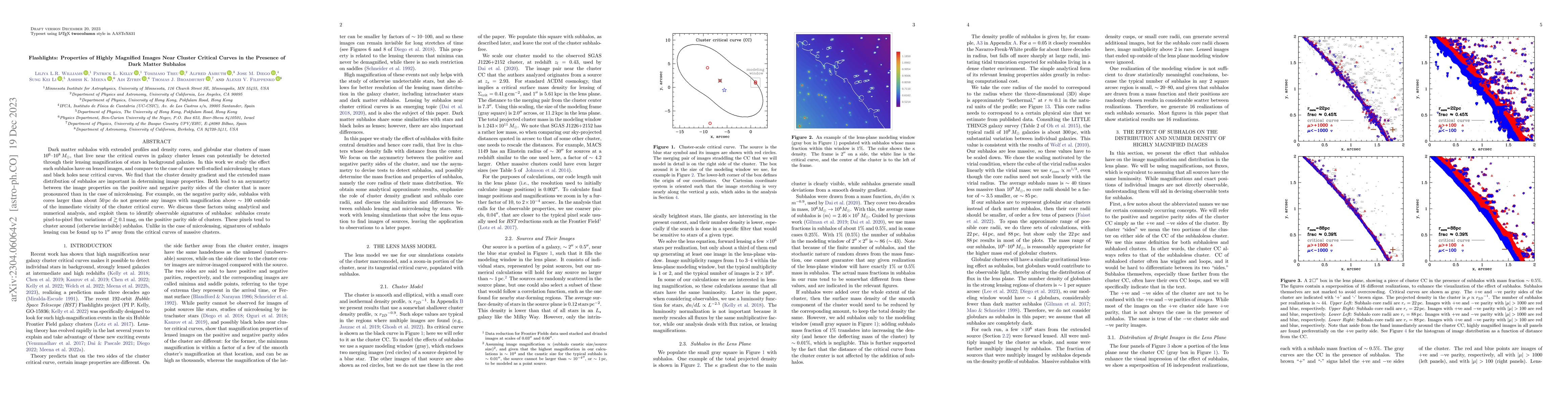 Thumbnail for Flashlights: Properties of Highly Magnified Images Near Cluster Critical
  Curves in the Presence of Dark Matter Subhalos