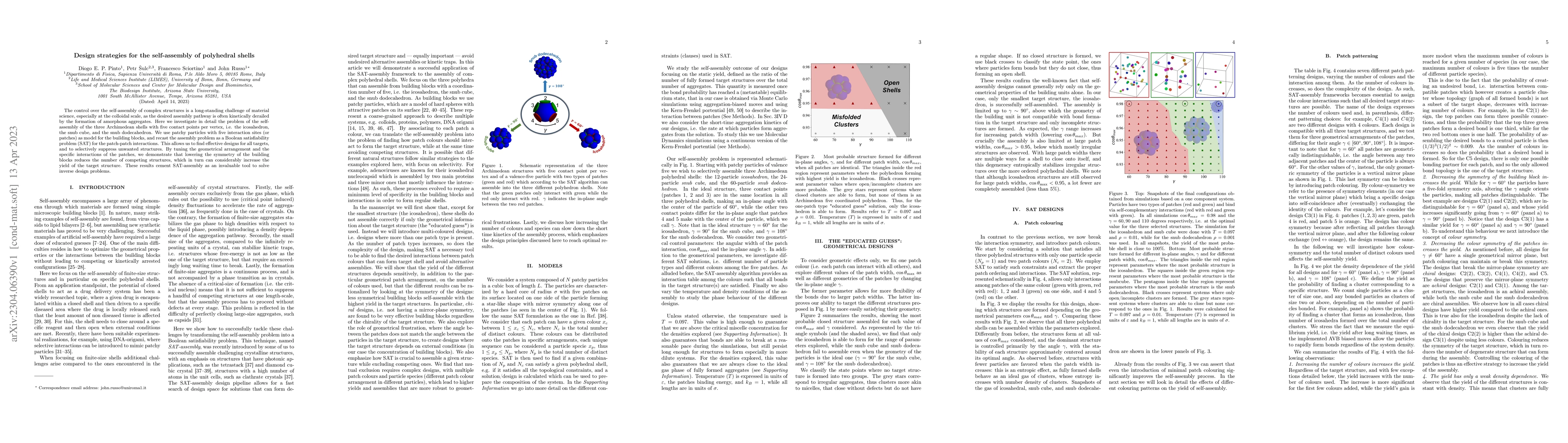 Thumbnail for Design strategies for the self-assembly of polyhedral shells