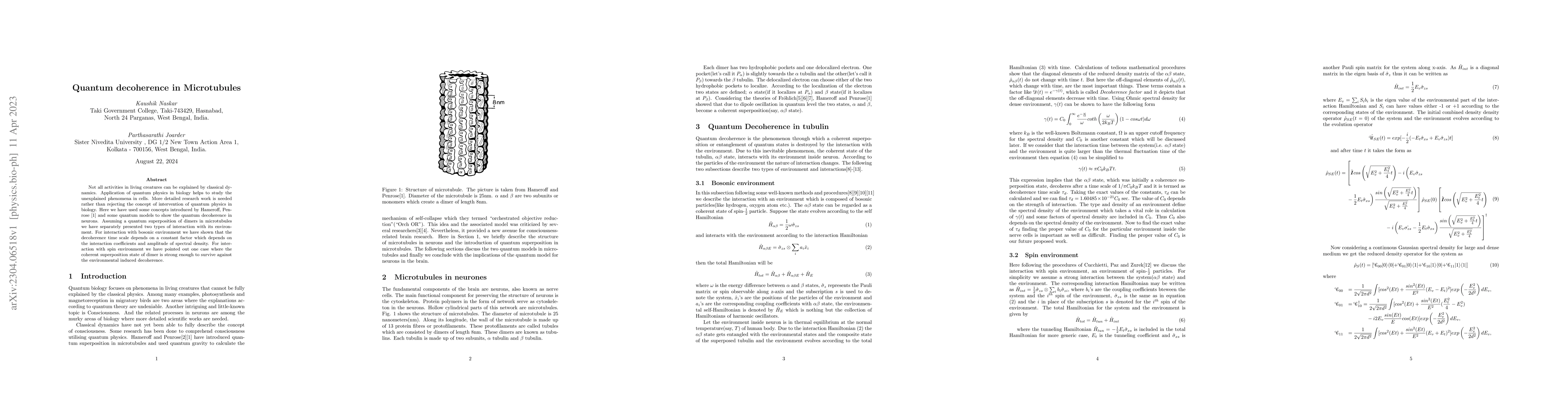 Thumbnail for Quantum decoherence in Microtubules