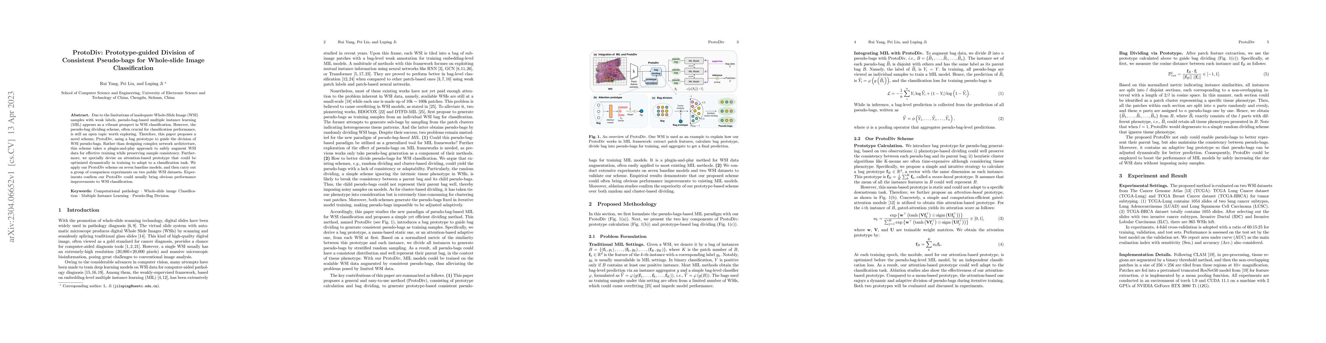 Thumbnail for ProtoDiv: Prototype-guided Division of Consistent Pseudo-bags for
  Whole-slide Image Classification