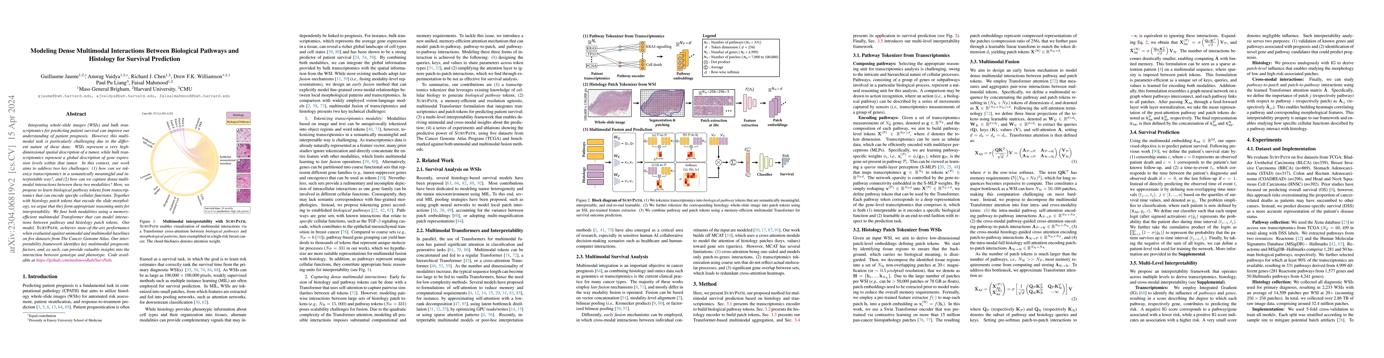 Thumbnail for Modeling Dense Multimodal Interactions Between Biological Pathways and
  Histology for Survival Prediction