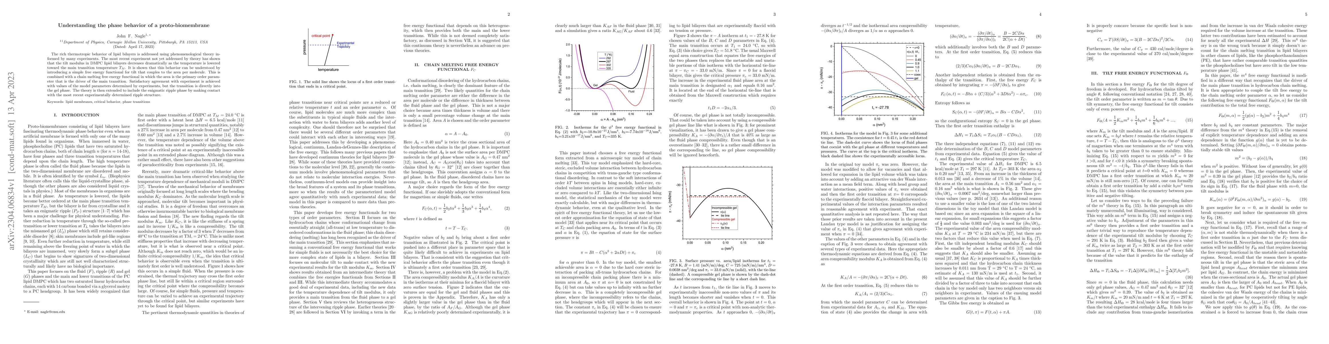 Thumbnail for Understanding the phase behavior of a proto-biomembrane